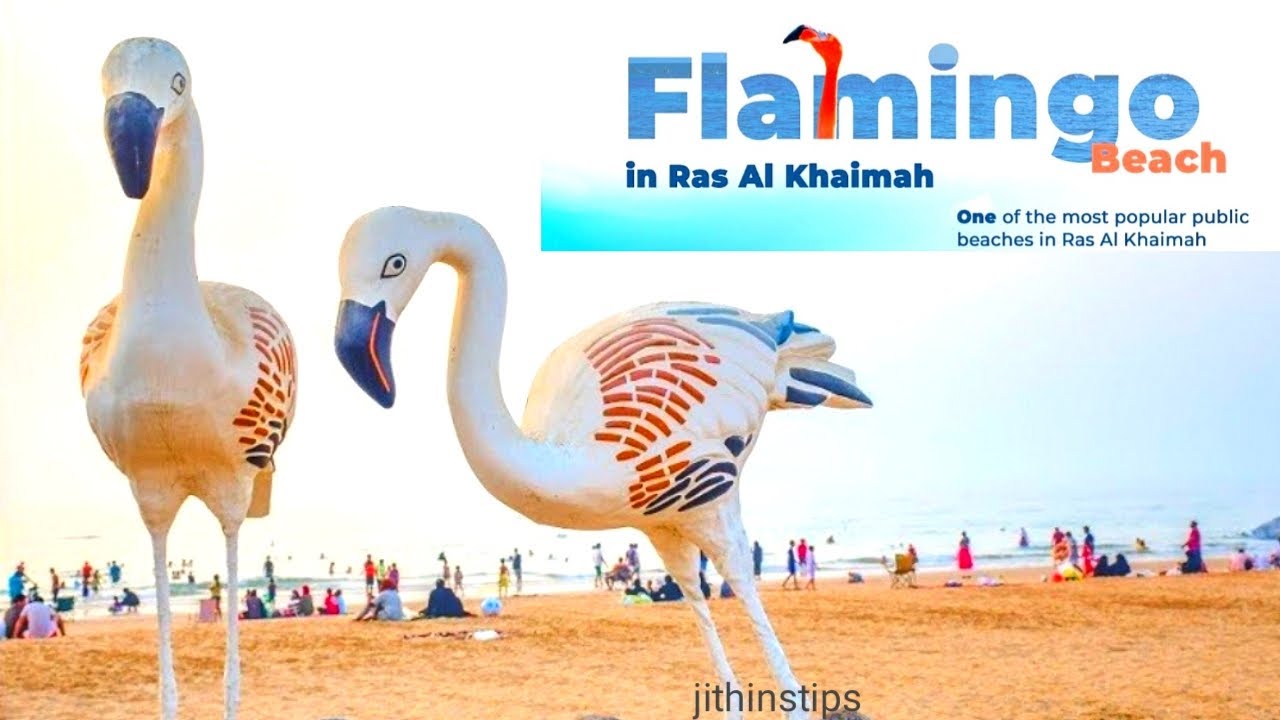 FLAMINGO Beach in Ras al Khaimah /best public beach/UAE - YouTube