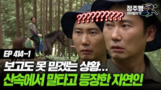 [#나는자연인이다] [414-1] 보고도 못 믿겠는 상황.. 산속에서 말타고 등장한 자연인 #정주행_이어달리기