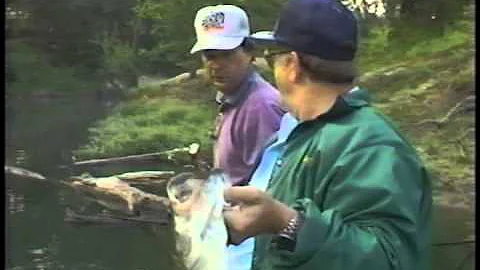 Jigger Pole Fishing