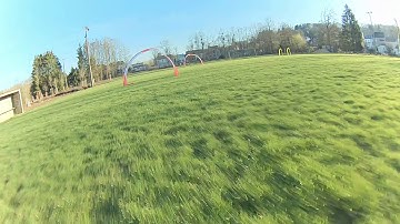 BF 4.0 RPM filters and Tuning tips for Racing