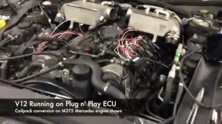 V12 Running On Plug N Play Ecu