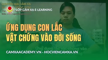 ỨNG DỤNG LẮC VẬT CHỨNG VÀO CUỘC SỐNG (+84) 981 559559 | RADIESTESIA NGUYEN NGOC SON | VIỆN I.B.V.