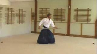 31-count jo kata
