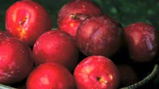 Buying and Storing Plums