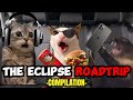 Cat memes family roadtrip compilation eclipse  extra scenes