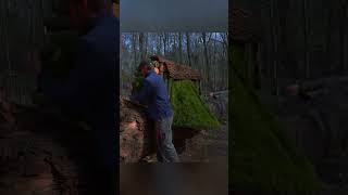 Solo Camping in Deep Forest 🌲 Building My Own Bushcraft Shelter  #bushcraft #solocamping #outdoors