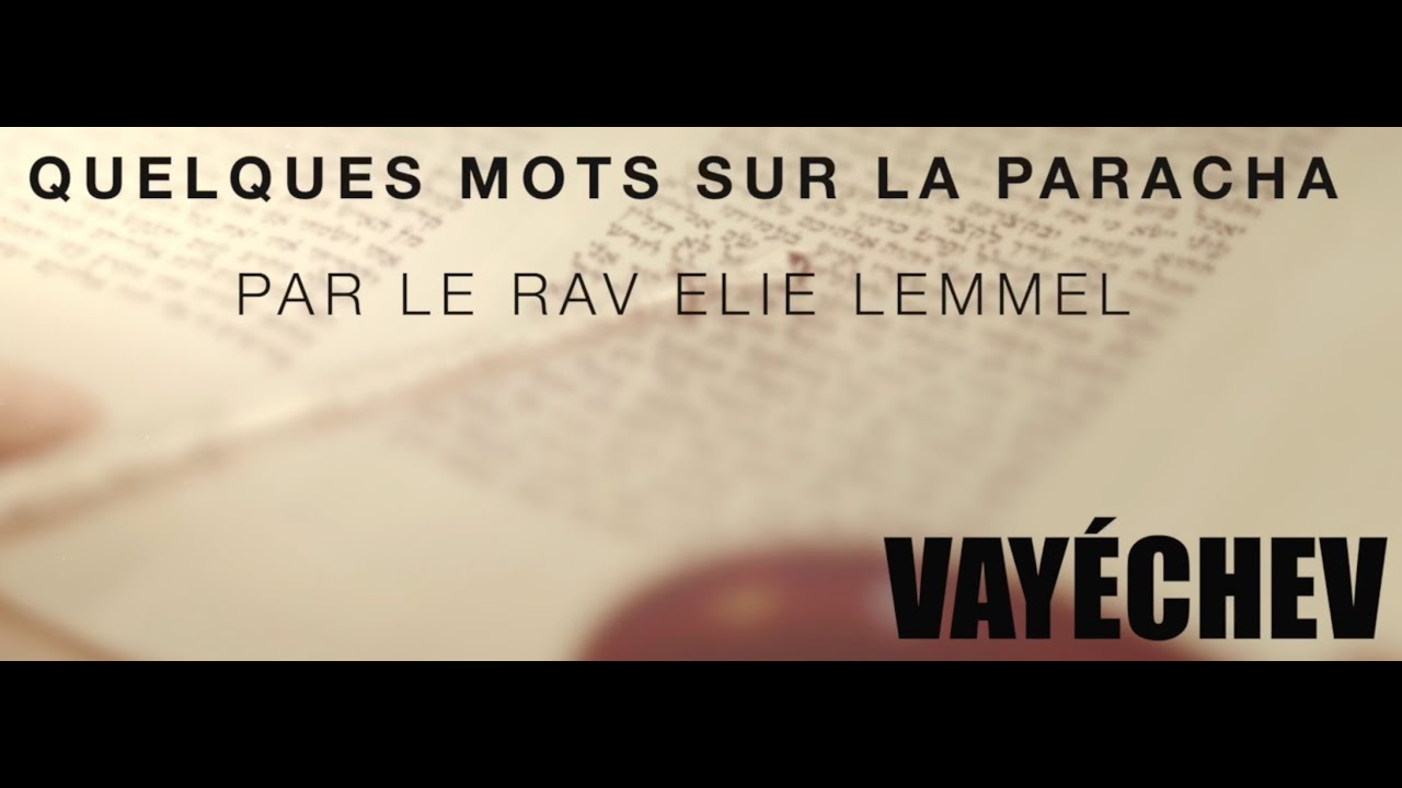 D'autres chats à fouetter... Rav Elie Lemmel - Paracha Vayechev