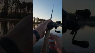 Open water frog fishing? What could go wrong… #godfirst #bassfishing #topwater #ashtrayangler