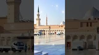 Ummat Ki Madad Ahmad e Mukhtar Karenge #Video##short