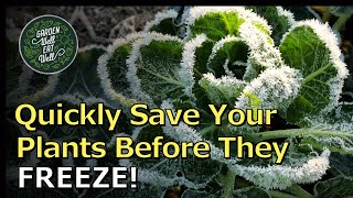 QUICKLY Rescue Your Plants From A FROST Or Killing FREEZE. Move Them To Safety In Minutes!