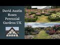  uk famous david austin roses garden tour 4k  victorian  renaissance gardens walking tour