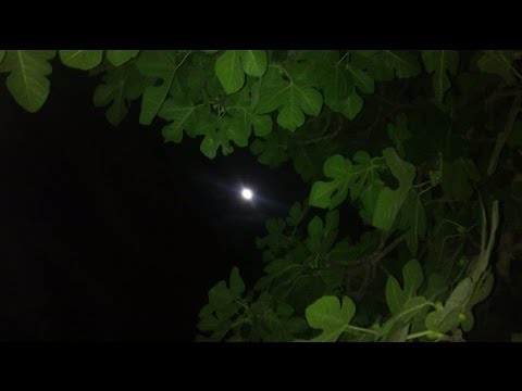 الليل والنجوم والقمر وأنا وأنت ودنيا السهر