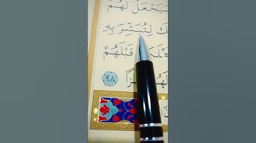 سورة مريم الأية 96 إلى 98 القارئ مشاري راشد العفاسي