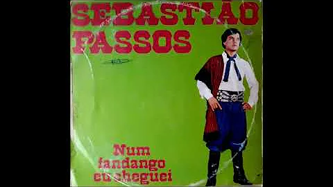 Sebastio Passos - Bugio de Pelo Duro - Solo de Gaita - (Sebastio Passos) - LP 1982 Faixa 02 Lado A
