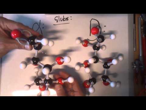 Glukos 1: Alfa- och beta-glukos