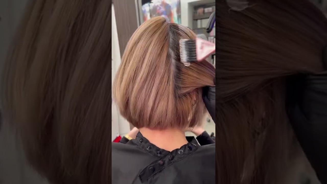 Black Box Dye Color Correction - Mirella Manelli Education