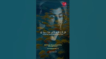 تلاوة خاشعة من سورة المؤمنون ١١١-١١٤ بصوت القارئ إسلام صبحي 🌿🤍 || makna surah al-mu'minun 111-114