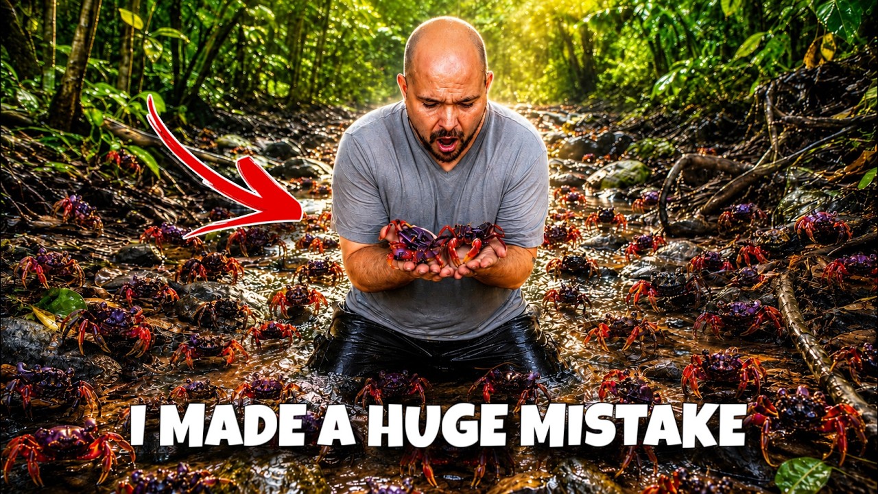 Breeding Vampire Crabs for 4 Years?!?
