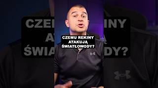 Dlaczego rekiny atakowały światłowody Internetowe?