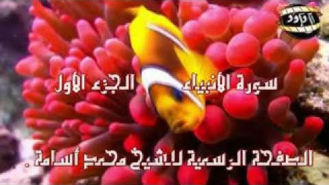 تلاوة من سورة الانبياء للشيخ محمد أسامة الجزء الأول