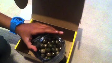 Evlution 3 (eggy 3) hopper drop test