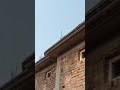 Finally slab ho gaya #construction #viral #housedesign #song #viral #trending #slab #viralvideo