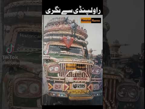 2399#bus#viral video