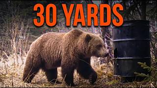 DANGER CLOSE: Grizzlies Circling My Alaska Bear Bait in Deep Mud