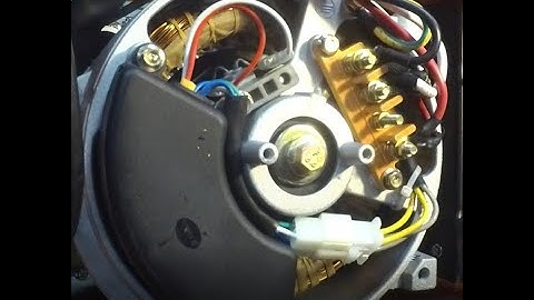 Portable Generator End Testing (AVR & Brush)