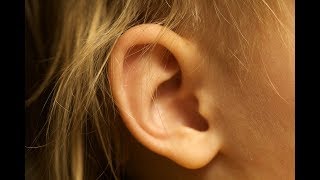 The challenge of looking for a job as a deaf person: Amanda's Testimonial
