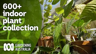 Touring a couple's 600+ indoor plant and cacti collection | Indoor plants | Gardening Australia