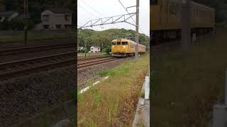 ノロノロ普通列車115系