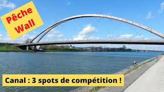 Canal Albert (Belgique) - 3 spots de compétition - Pêche au coup #feeder