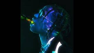 Travis Scott - BUTTERFLY EFFECT Reverb and slowed (audio)
