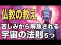 苦しみから解放される宇宙の法則5つ|仏教の教え