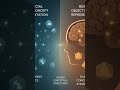 Semantic Clustering #ai