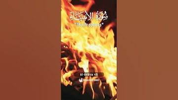 Surah Al-Anbiya 46 - Hindi/Urdu Audio |سورة الأنبياء #surahalanbiya #muslim360