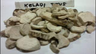 8 Manfaat Keladi Tikus untuk Kesehatan, Herbal Alternatif yang Baik Atasi Kanker