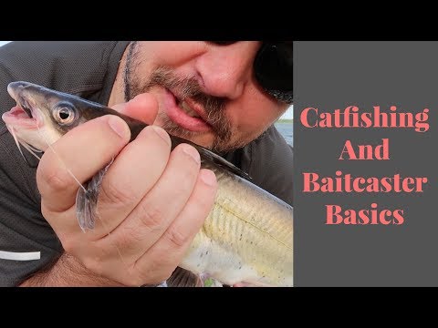 basics on catfishing and how to set up your baitcasting reel 