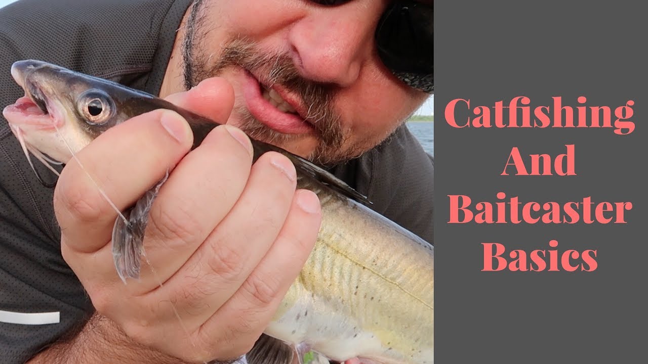 basics on catfishing and how to set up your baitcasting reel 