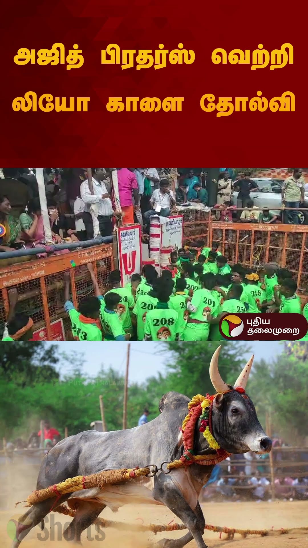 அஜித் பிரதர்ஸ் வெற்றி லியோ காளை தோல்வி | #jallikattu2025 | #madurai | #shorts