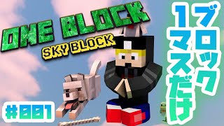 Minecraft Skyblock  but you only get ONE BLOCK 第1回 １マスから世界が広がる！[スカイブロック ワンブロック] screenshot 1