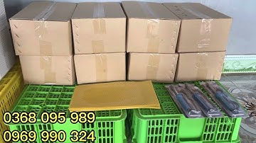 Chân tầng ong nội nguyên chất 100% ong tiếp nhận cực kì nhanh!