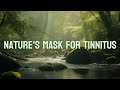Tinnitus Masking: Tuned Stream