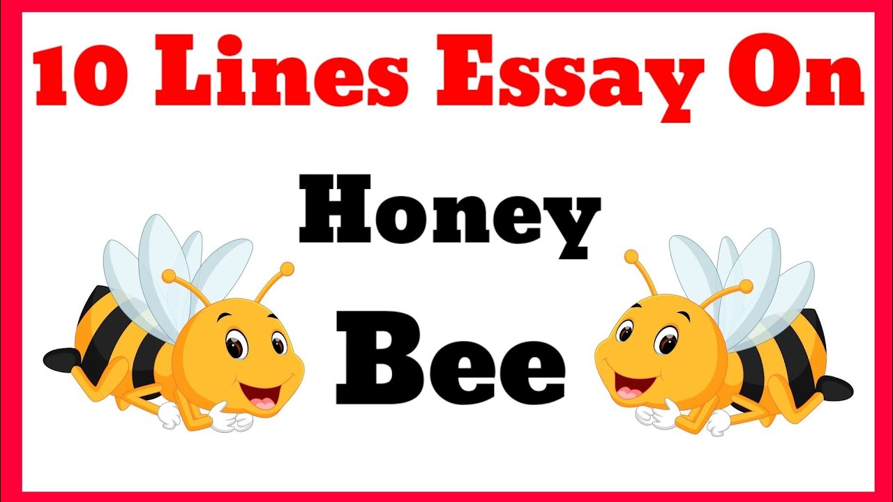 short essay honey bee