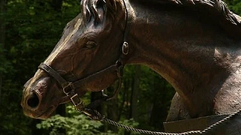 A tribute to a four-legged war hero