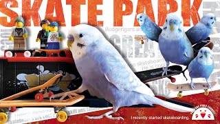 ～SKATE PARK～ セキセイインコがスケートパークでスケボー練習