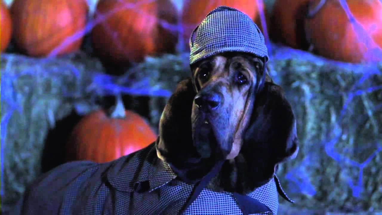 Spooky Buddies Sniffer's Help YouTube