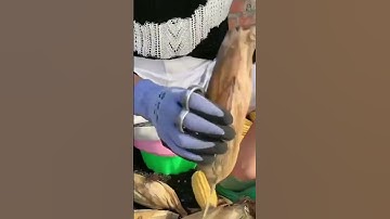 unique mini tools and peeling corn skin  #shorts