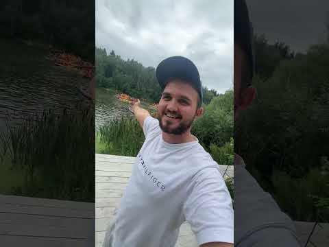 Что может испортить выездную церемонию на свадьбе? Необычная ситуация